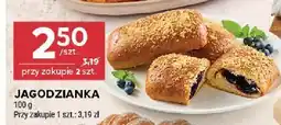 Stokrotka Jagodnianka Stokrotka oferta