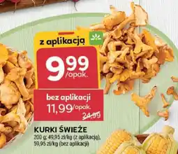 Stokrotka Market Kurki świeże oferta