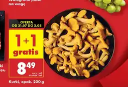 Biedronka Kurki PNY oferta