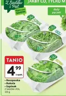 Intermarche Szpinak młody Z Sadów I Pól oferta