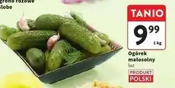 Intermarche Ogórki małosolne oferta