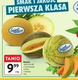 Intermarche Melon zielony Sanlucar oferta