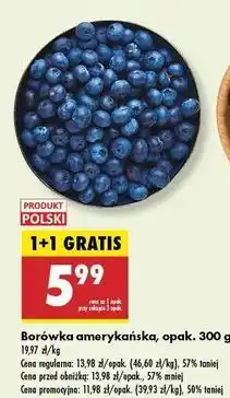 Biedronka Borówki amerykańskie oferta