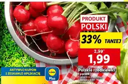 Lidl Rzodkiewki polskie 1 pęczek Lidl oferta