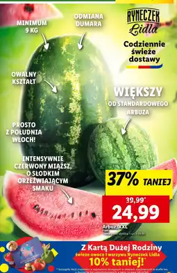 Lidl Arbuz XXL 1 szt. Lidl oferta
