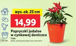 Lidl Papryczki jadalne w cynkowej doniczce: żółte, pomarańczowe, czerwone Lidl oferta