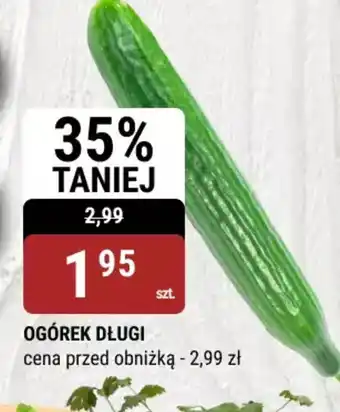 bi1 Ogórek długi oferta
