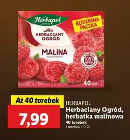 Lidl Herbata malinowa Herbaciany Ogród Herbapol oferta