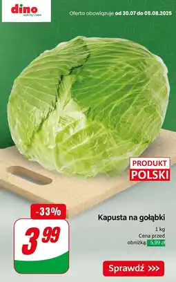 Dino Kapusta na gołąbki Dino oferta