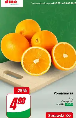 Dino Pomarańcza Dino oferta