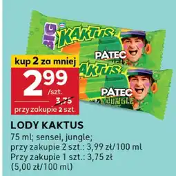 Stokrotka Lody Kaktus sensei oferta