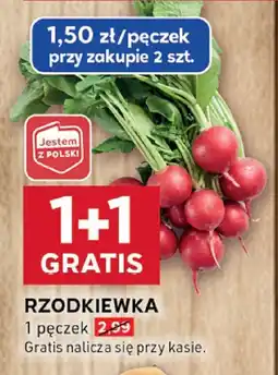 Stokrotka Rzodkiewka - pęczek: 1+1 gratis Stokrotka oferta