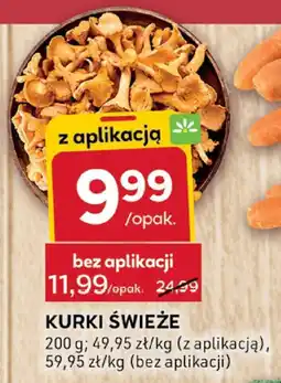 Stokrotka Kurki świeże 1 opak. Stokrotka oferta