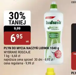 bi1 Płyn do mycia naczyń Ludwik oferta