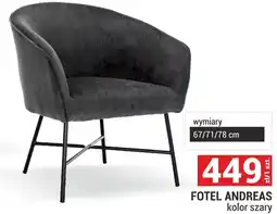 Merkury Market Fotel oferta