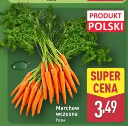 ALDI Marchew Polski oferta