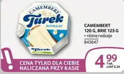 Selgros Camembert Turek oferta
