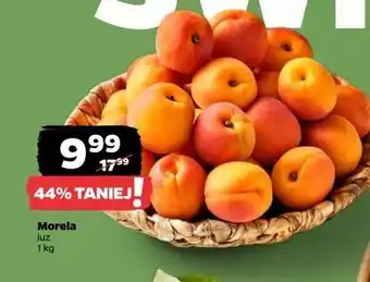 Netto Morele oferta