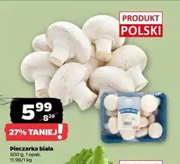 Netto Pieczarki białe Z Zieleniaka Netto oferta