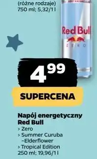 Netto Napój energetyczny kaktus Red Bull The Summer Edition oferta