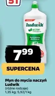 Netto Płyn do mycia naczyń miętowy Ludwik oferta