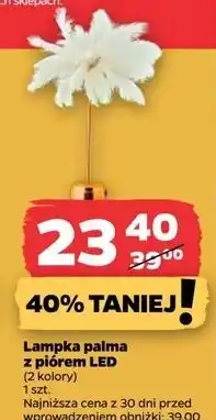 Netto Lampka palma z piórami led oferta