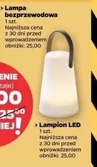 Netto Lampion led oferta