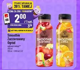 Polomarket Smoothie Zaczarowany Ogród oferta