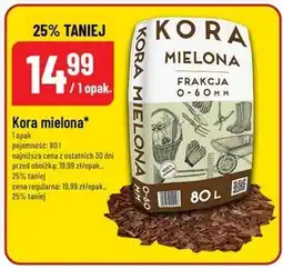 Polomarket Kora oferta
