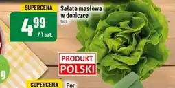 Polomarket Sałata masłowa Polski oferta
