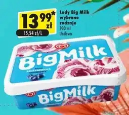 Premium Nasz Sklep Lody Big Milk oferta