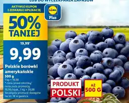 Lidl Borówki amerykańskie 1 opak. Lidl oferta