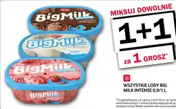 Selgros Lody Big Milk Intense oferta