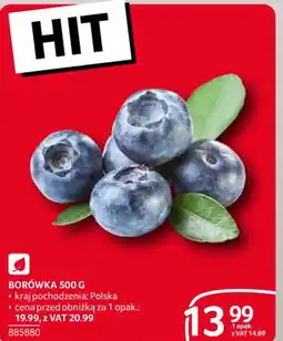 Selgros Borówka oferta