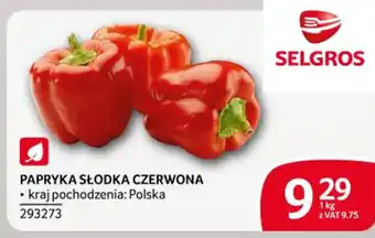 Selgros Papryka słodka czerwona oferta