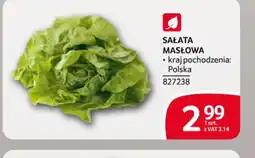 Selgros Sałata masłowa oferta