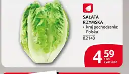 Selgros Sałata rzymska oferta