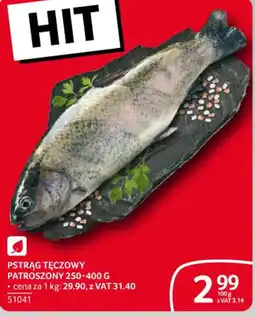 Selgros Pstrąg tęczowy oferta