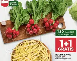 Stokrotka Market Rzodkiewka oferta