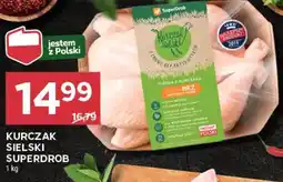 Stokrotka Market Kurczak Sielski Superdrob oferta