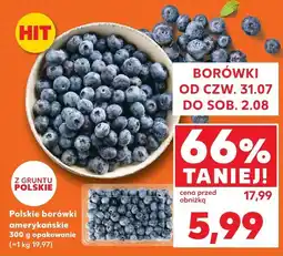 Kaufland Borówki amerykańskie polskie Kaufland oferta