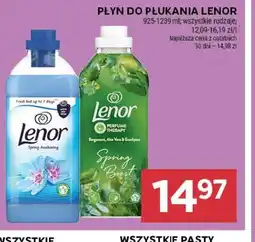 Stokrotka Market Płyn do płukania Lenor oferta