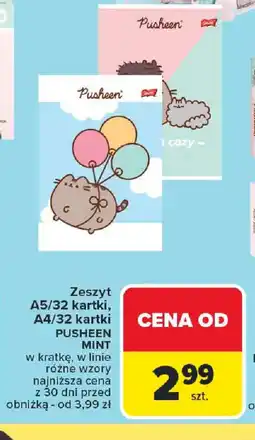 Carrefour Zeszyt Pusheen Mint oferta
