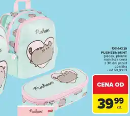 Carrefour Kolekcja Pusheen Mint oferta