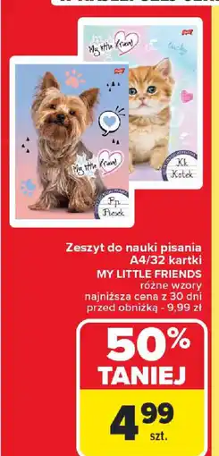Carrefour Zeszyt do nauki pisania My Little Friends oferta