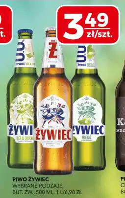 Top Market Piwo żywiec oferta