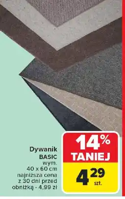 Carrefour Dywanik Basic oferta