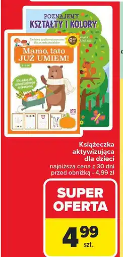 Carrefour Książeczka aktywizująca dla dzieci oferta