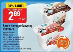 Polomarket Serek homogenizowany Rolmlecz różne rodzaje oferta