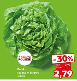 Kaufland Sałata masłowa polska Kaufland oferta